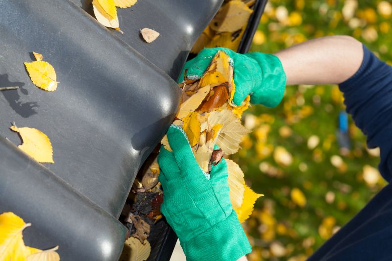 Gutter Maintenance in Annapolis, MD