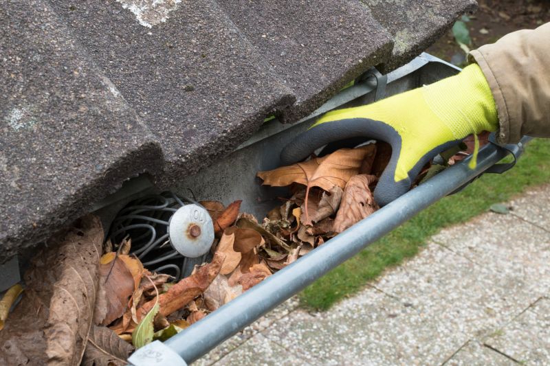 Commercial Gutter Cleaning in Denver County, CO
