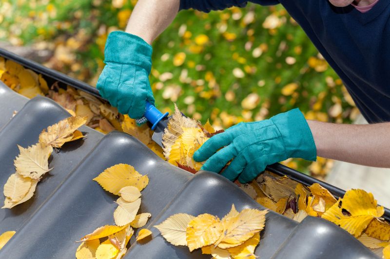 Commercial Gutter Maintenance in Denver, CO