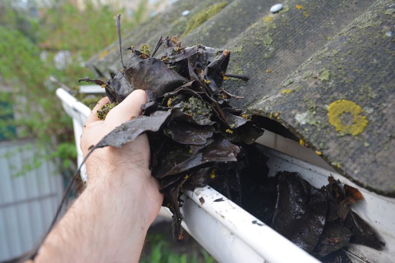 Downspout Cleaning in Fredericksburg, VA
