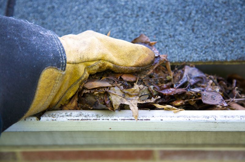 Gutter Cleaning in Baltimore, MD
