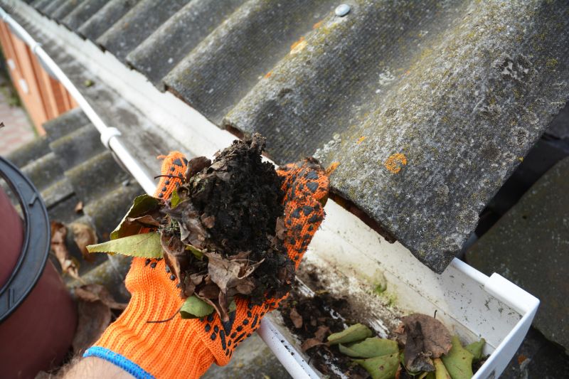 Gutter Leaf Clearing in Baltimore, MD
