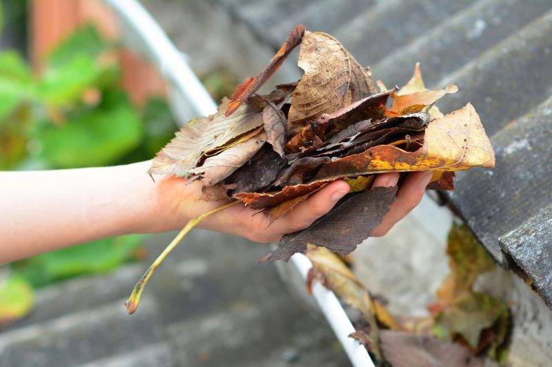 Gutter Leaf Clearing in Boulder, CO