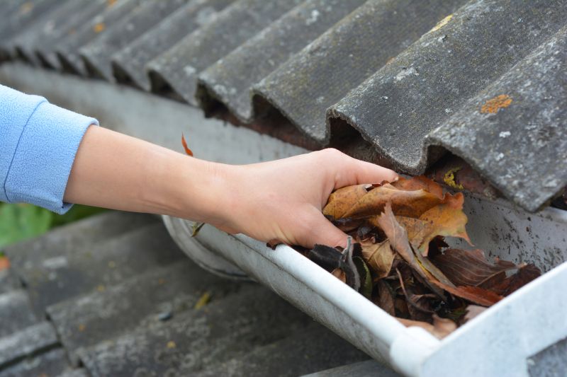 Gutter Leaves Removal in Fredericksburg, VA