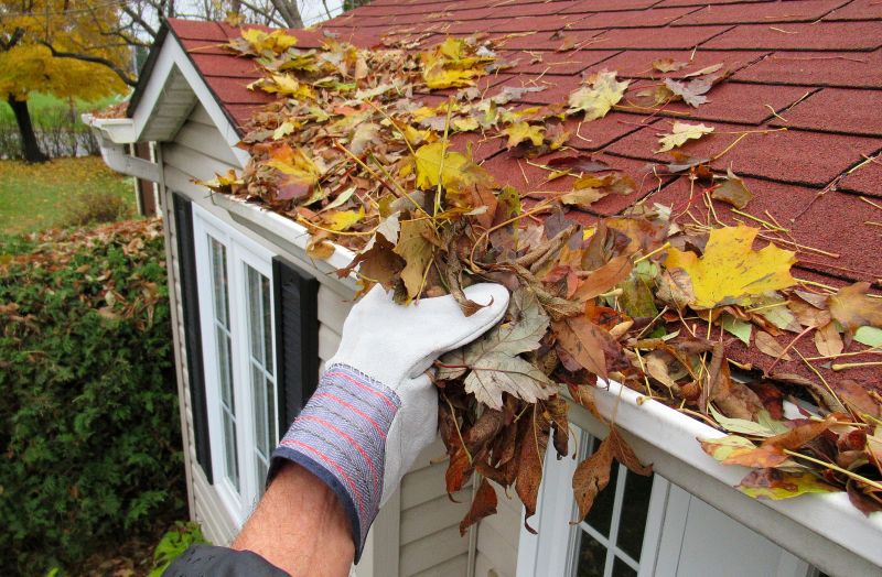 Gutter Leaves Removal in Pittsburgh, PA