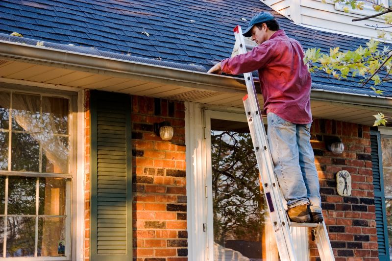 Roof Gutter Cleaning in Rochester, NY