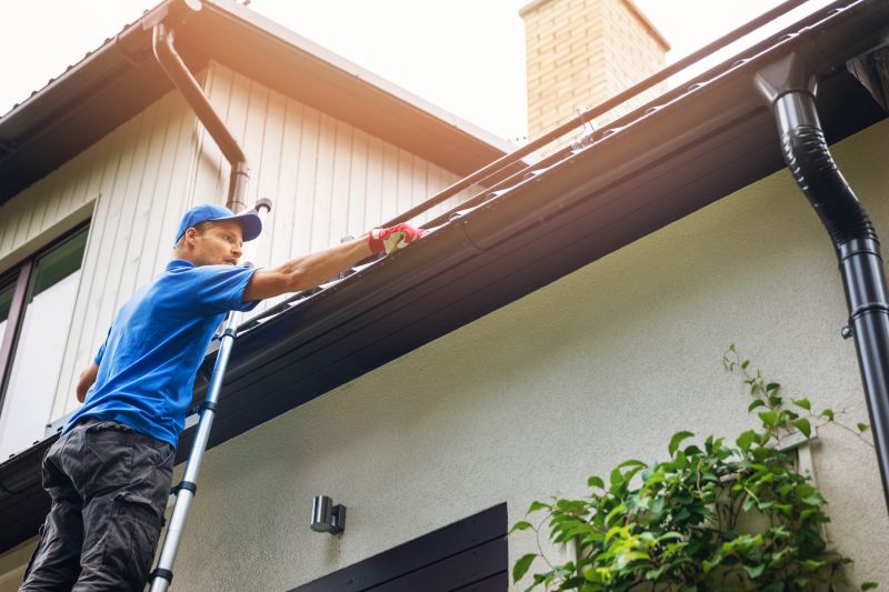 Roof Gutter Cleaning in Frederick, MD