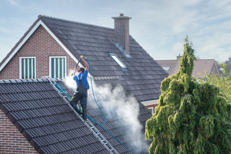Roof Soft Washing in Vancouver, WA